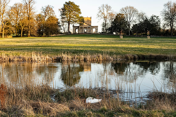 Swan on Nest and Temple of Friendship